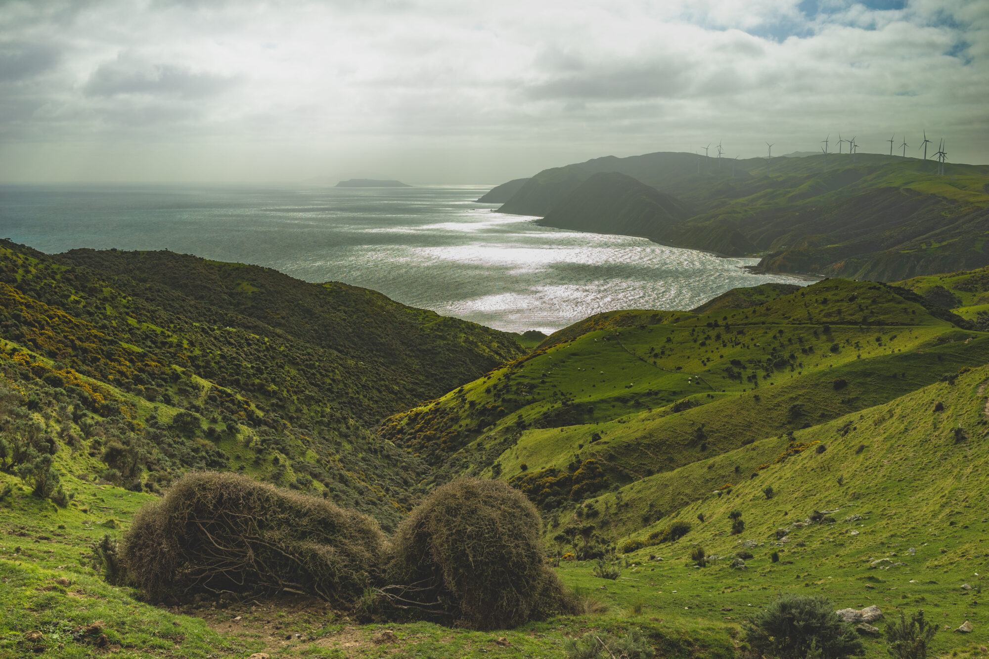a-look-across-the-landscape-with-view-of-the-sea